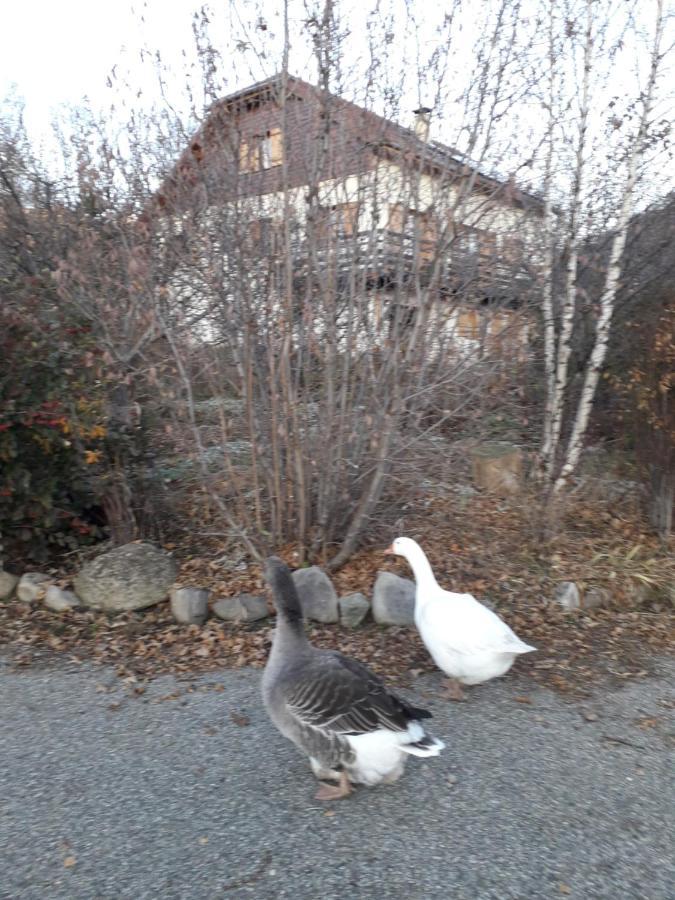 Petit Appartement En Montagne Saint-Julien-en-Champsaur エクステリア 写真